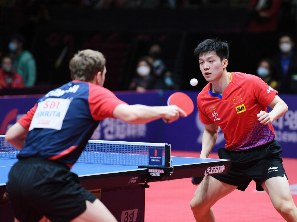 据自己的喜 据自己的喜